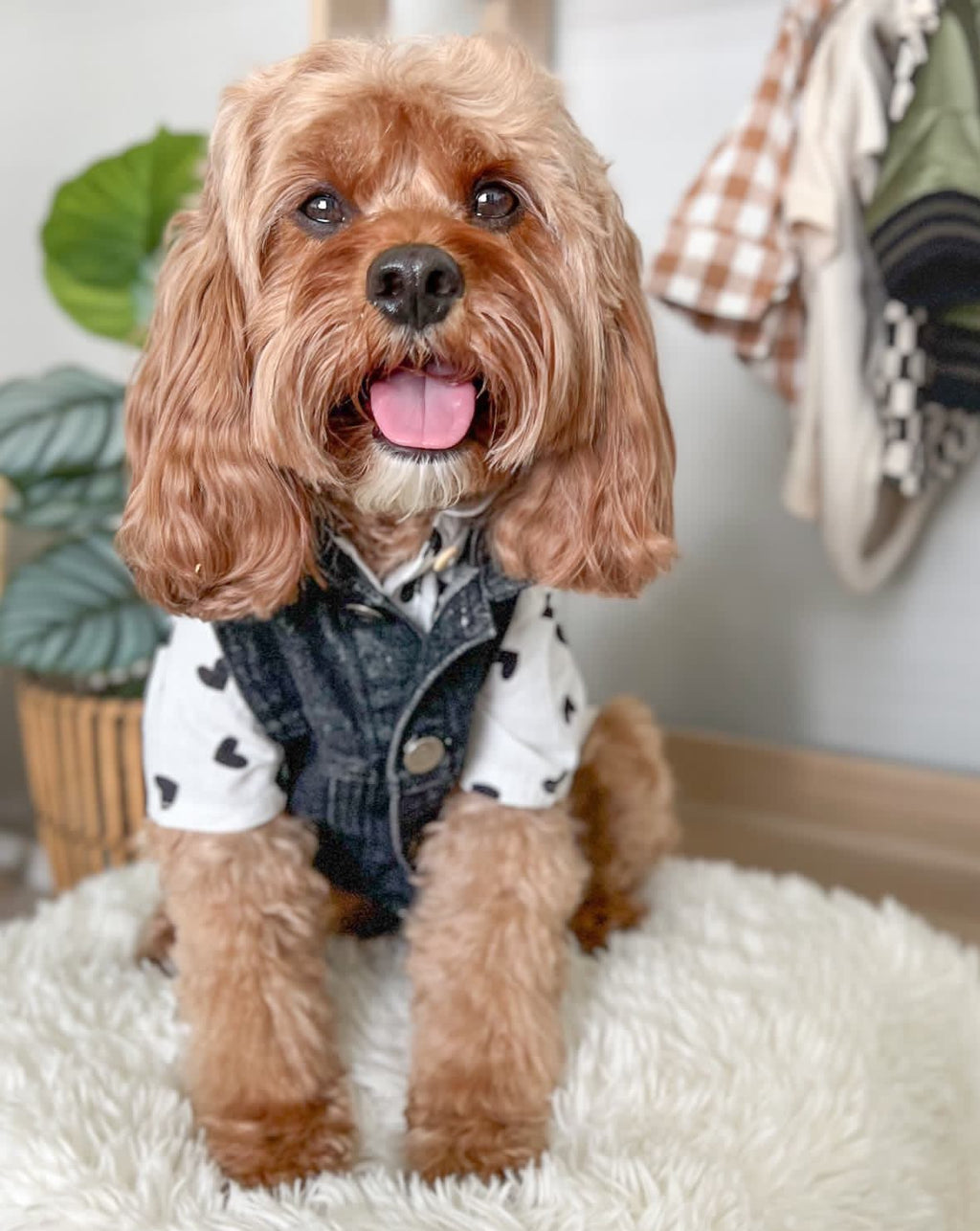 Dog Shirt product image 8