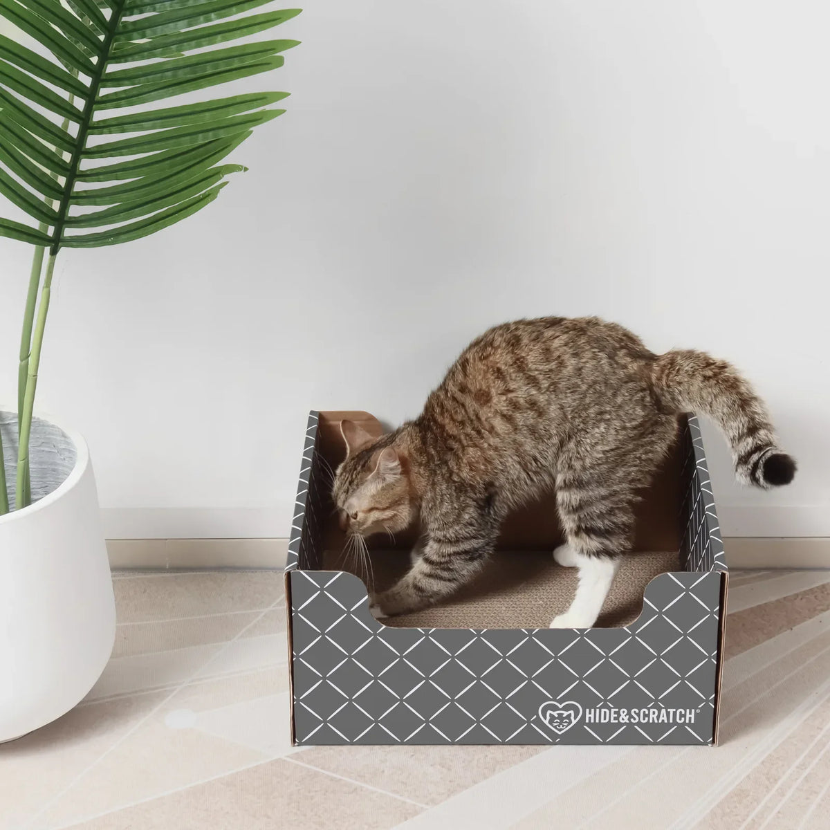 Hide & Scratch Extra-Large Cat Scratcher Box product image 2