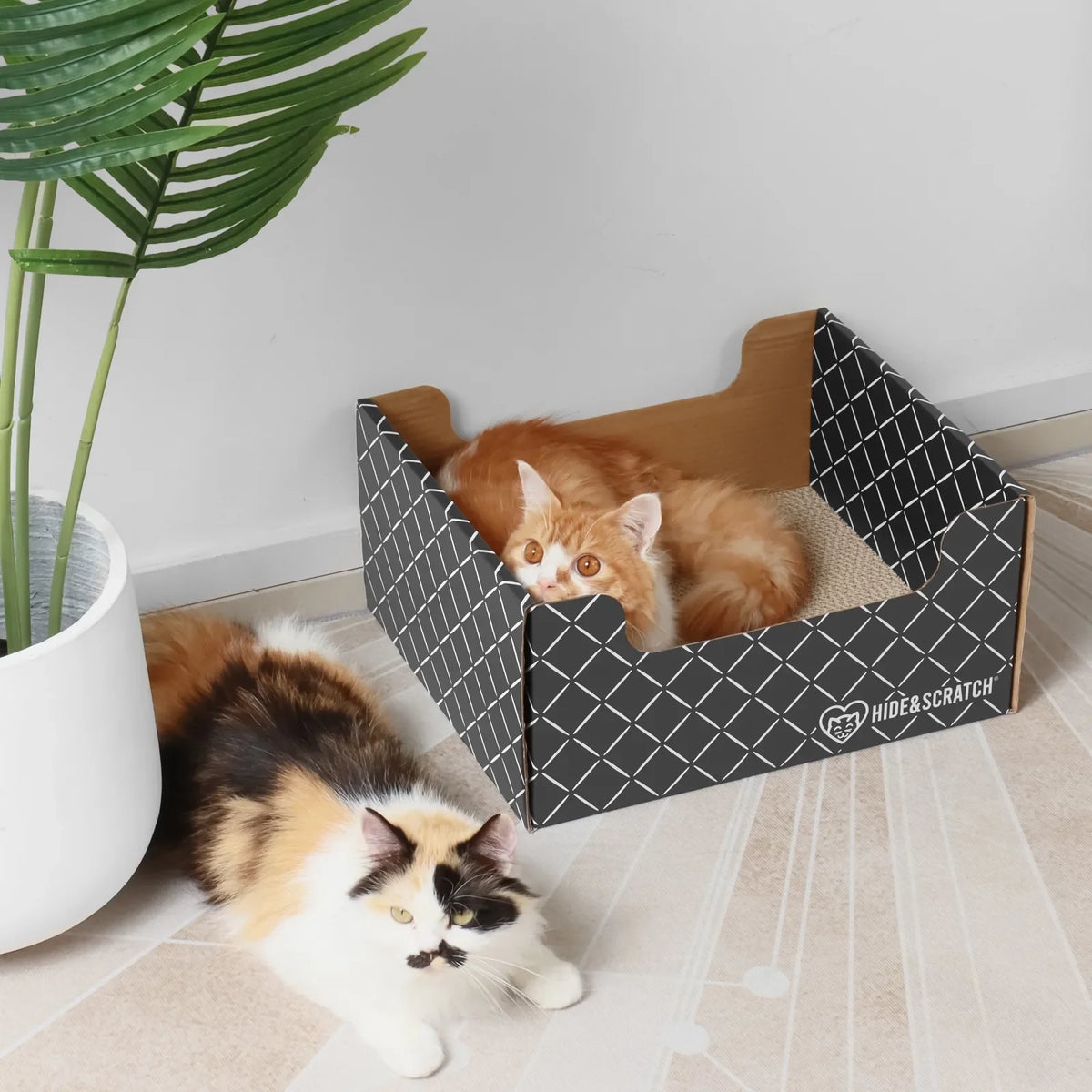 Hide & Scratch Extra-Large Cat Scratcher Box product image 7