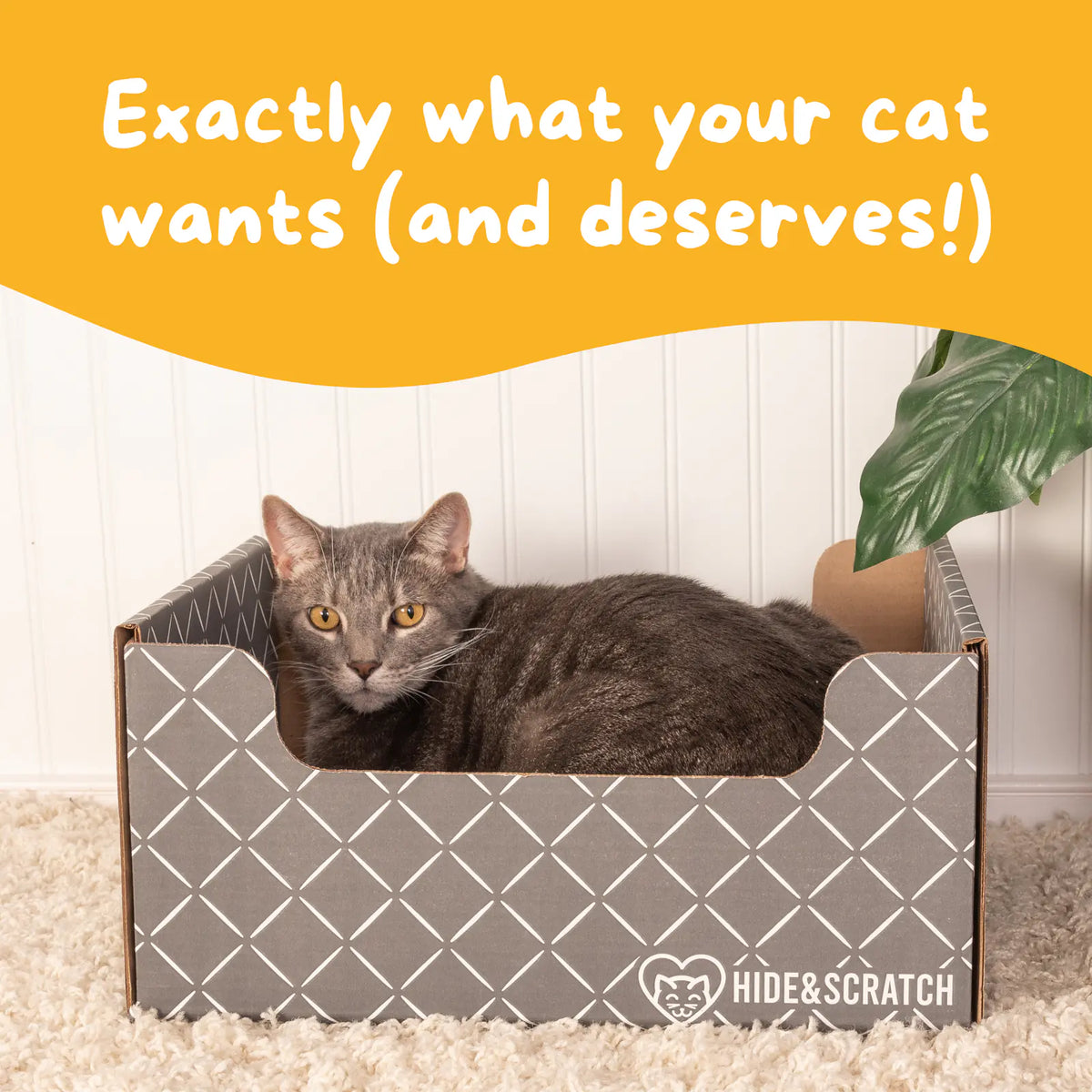 Hide & Scratch Extra-Large Cat Scratcher Box product image 25