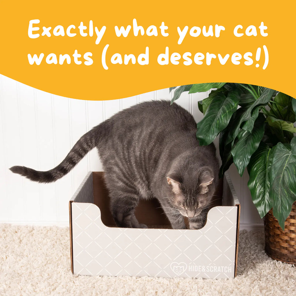 Hide & Scratch Extra-Large Cat Scratcher Box product image 32