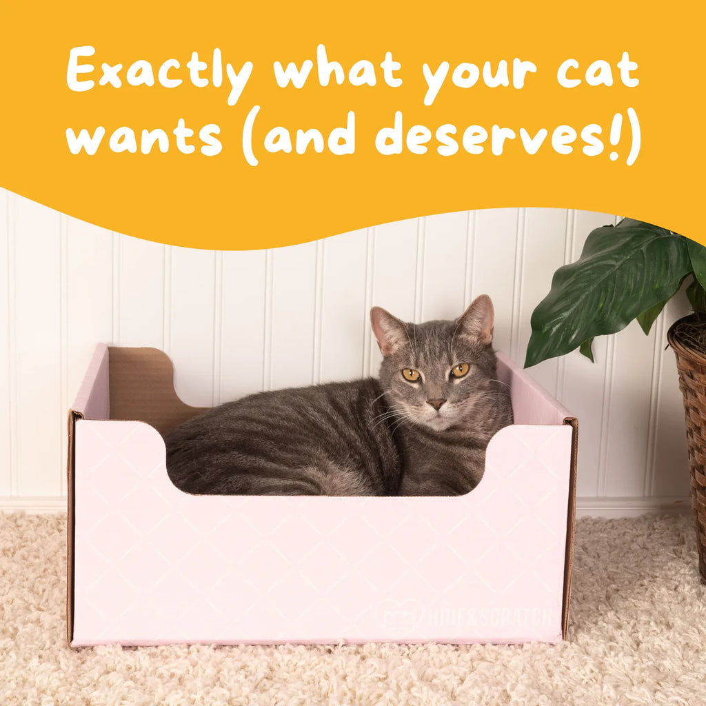 Hide & Scratch Extra-Large Cat Scratcher Box product image 34