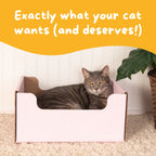 Hide & Scratch Extra-Large Cat Scratcher Box product image 34