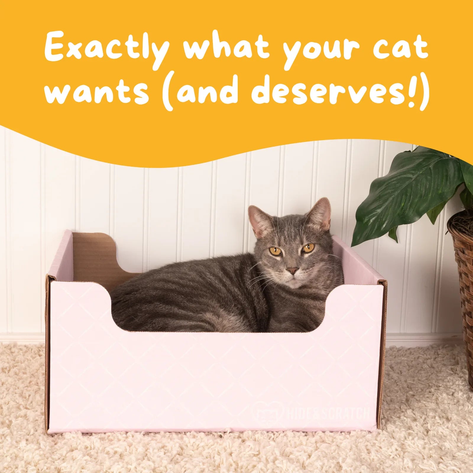 Hide & Scratch Extra-Large Cat Scratcher Box product image 34