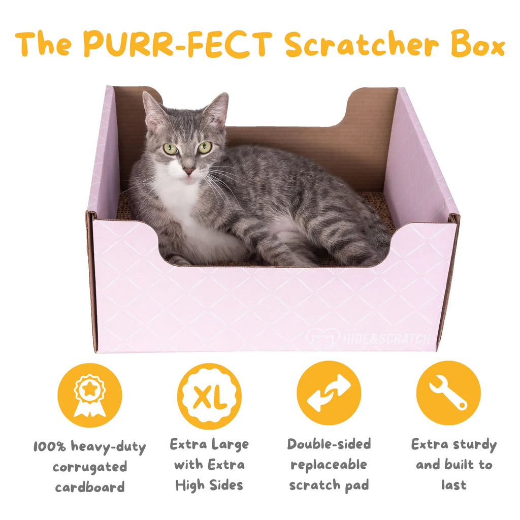 Hide & Scratch Extra-Large Cat Scratcher Box product image 36
