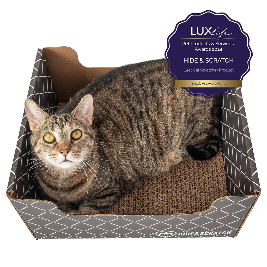 Hide & Scratch Extra-Large Cat Scratcher Box product image 47