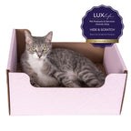 Hide & Scratch Extra-Large Cat Scratcher Box product image 50