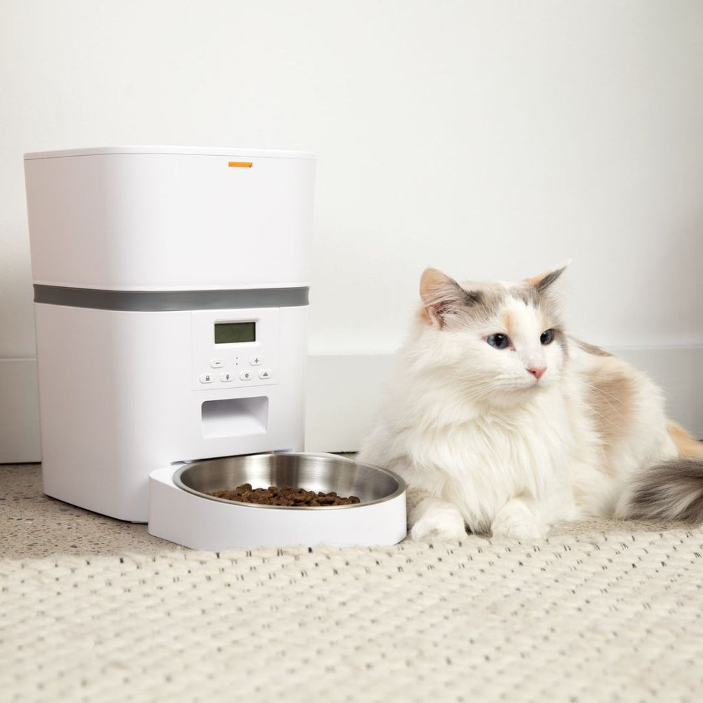 Automatic Cat Feeder product image 4