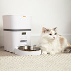 Automatic Cat Feeder product image 4