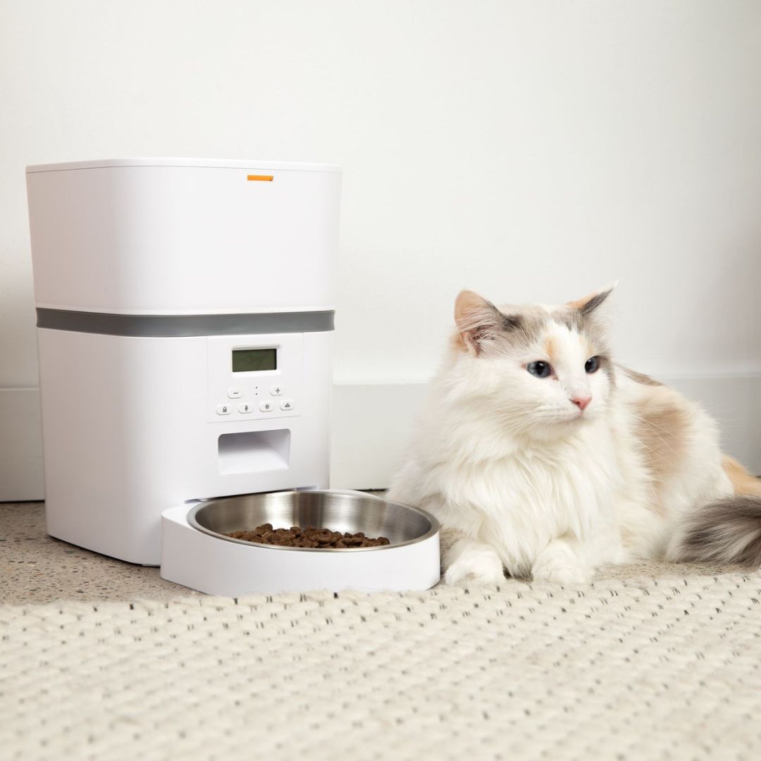 Automatic Cat Feeder product image 4