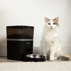Automatic Cat Feeder product image 5