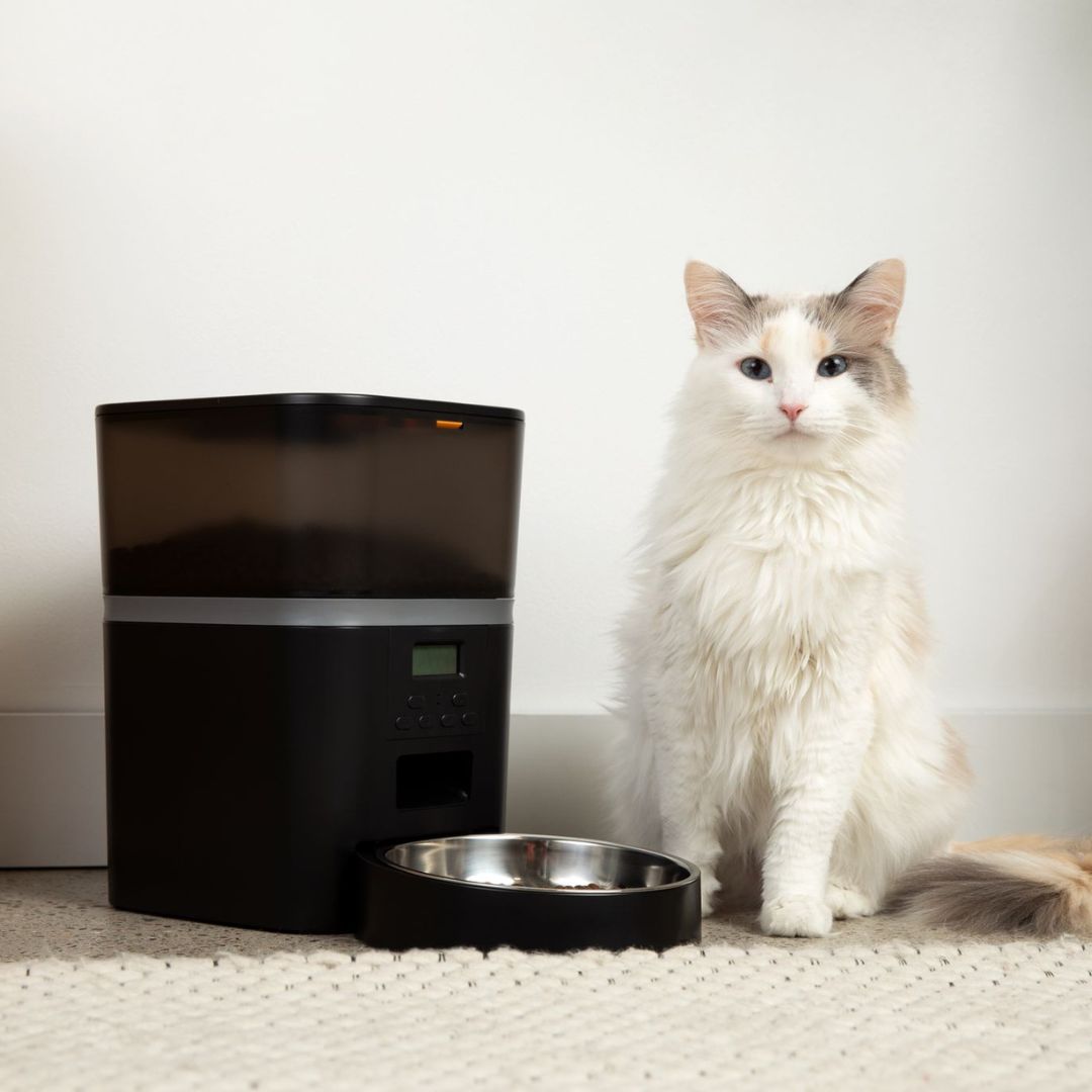 Automatic Cat Feeder product image 5