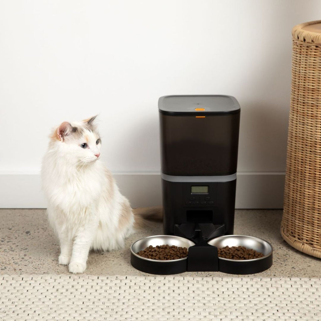 Automatic Cat Feeder product image 6