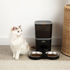 Automatic Cat Feeder product image 6