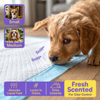 Puppy Training Pads product image 5