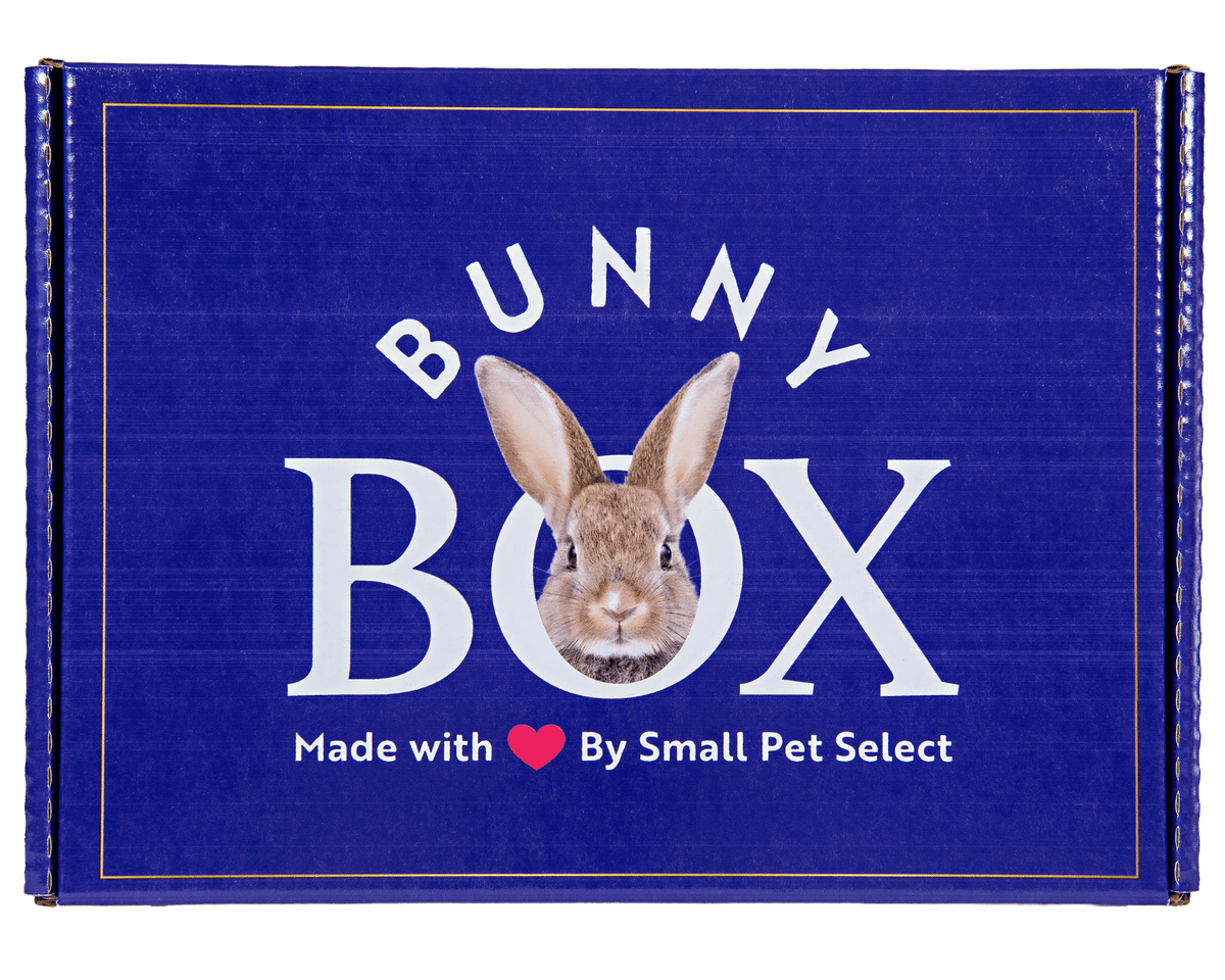 Rabbit Subscription Box product image 1