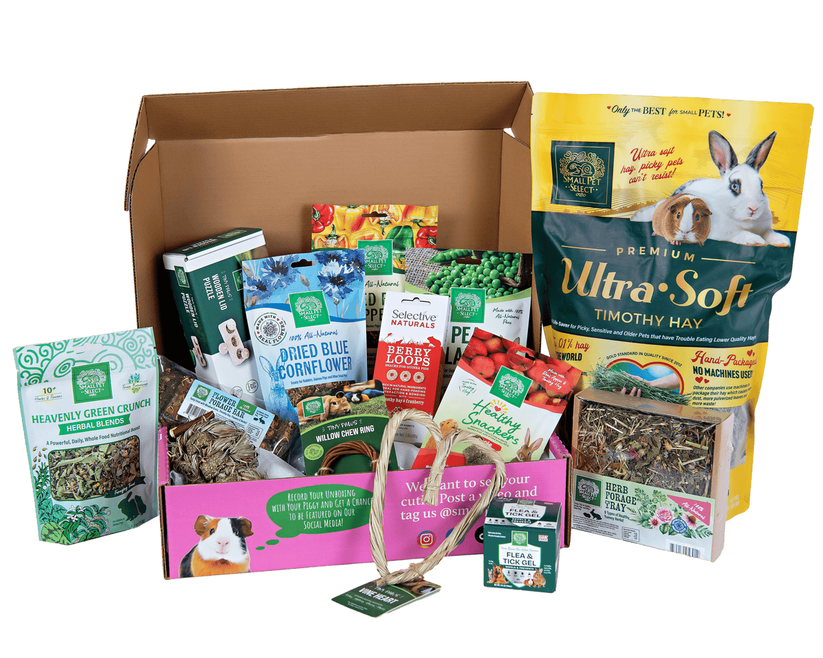 Rabbit Subscription Box product image 3