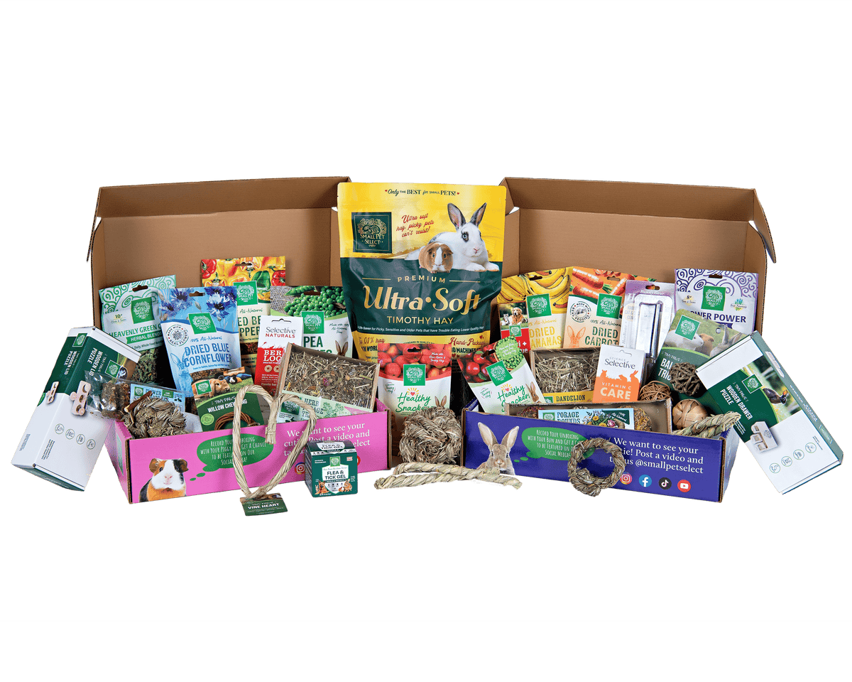 Rabbit Subscription Box product image 5