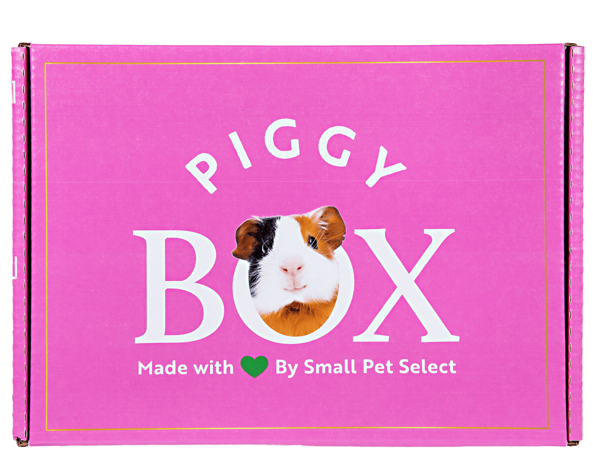 Guinea Pig Subscription Box product image 1