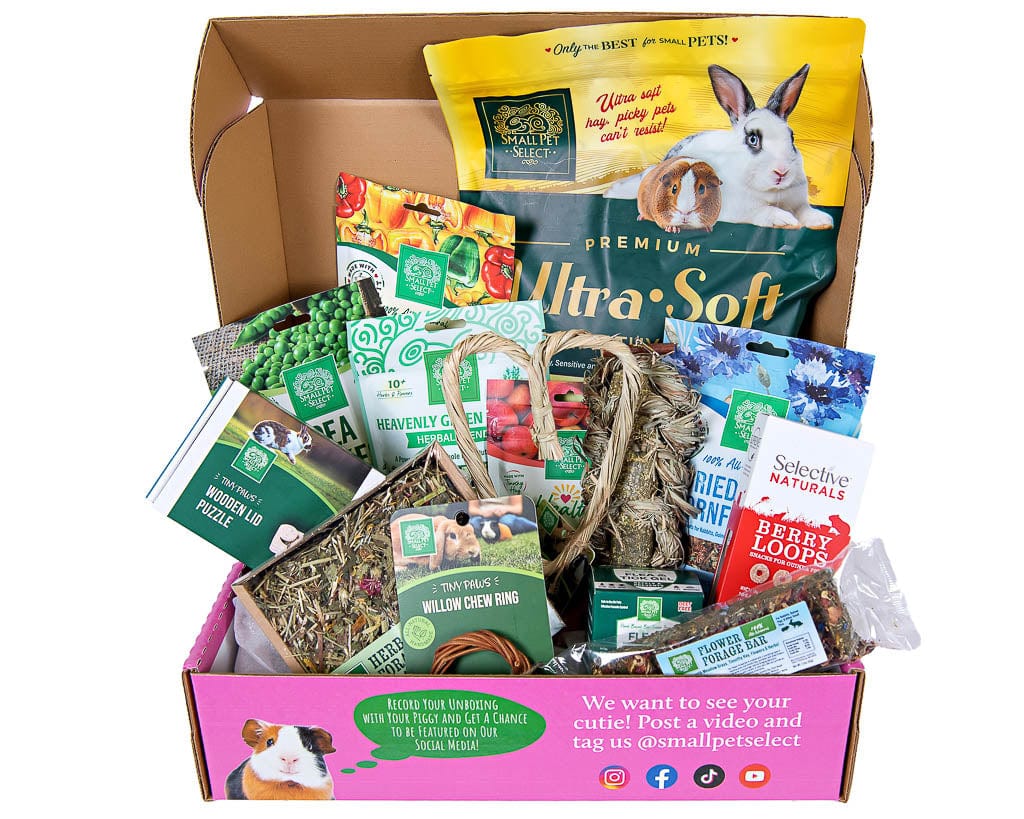 Guinea Pig Subscription Box product image 3