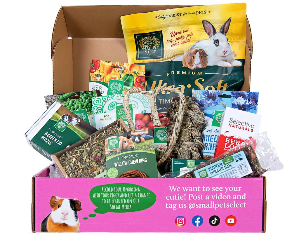Guinea Pig Subscription Box product image 4