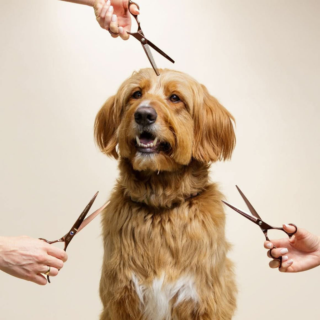 Dog Grooming Scissors product image 1