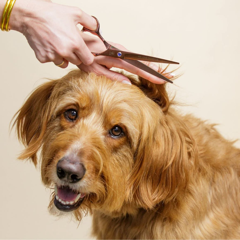 Dog Grooming Scissors product image 6