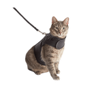 Cat Harness product image 1