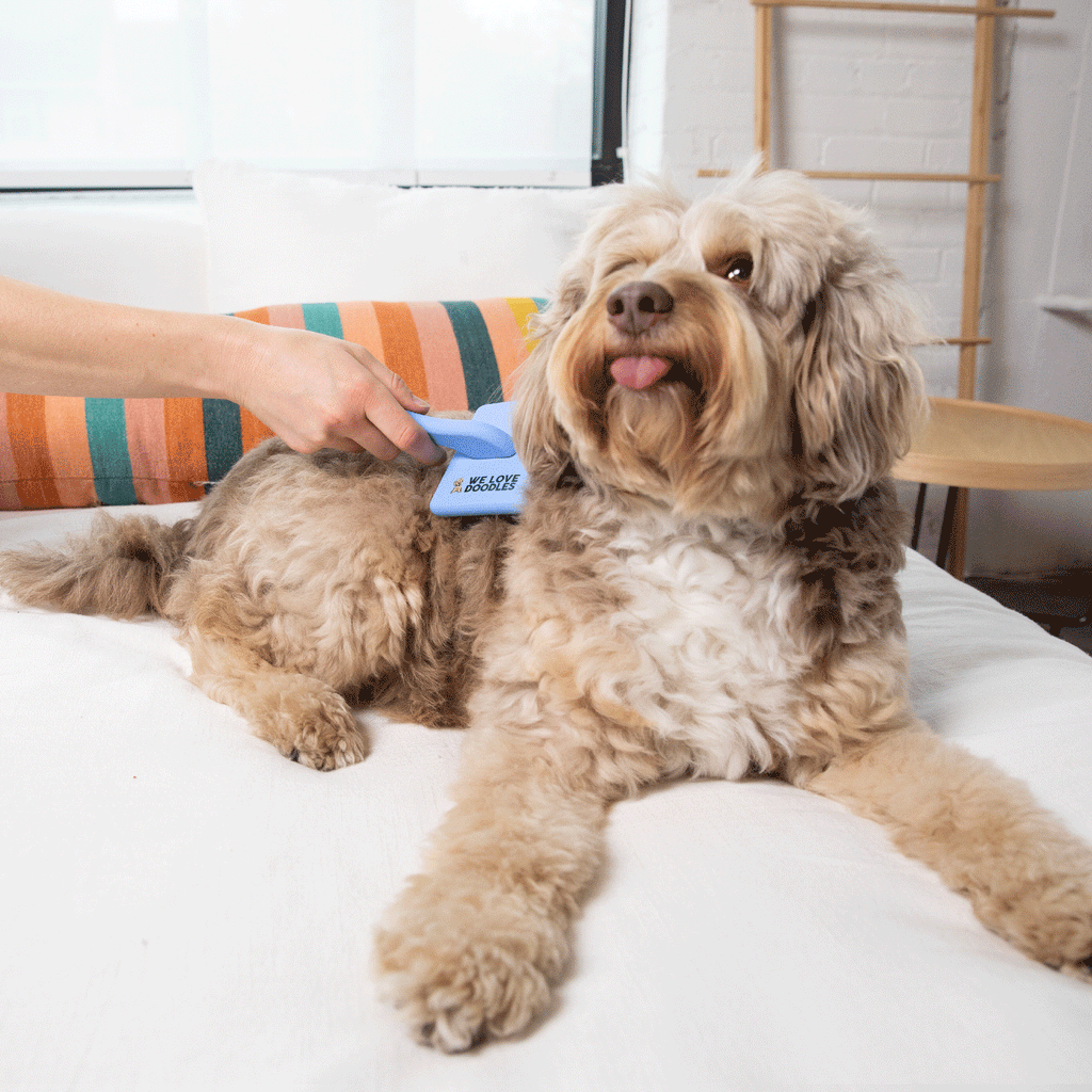 Dog Slicker Brush product image 3