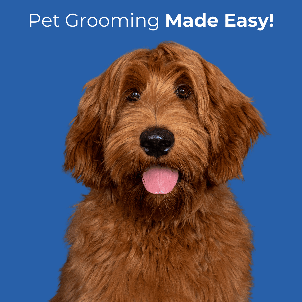 Pet Grooming Scissors product image 3