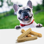 Yak Dog Chew Sticks product image 9