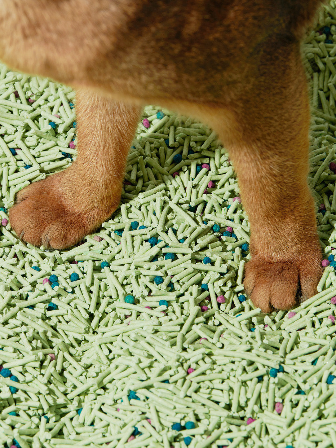Tofu Cat Litter product image 6