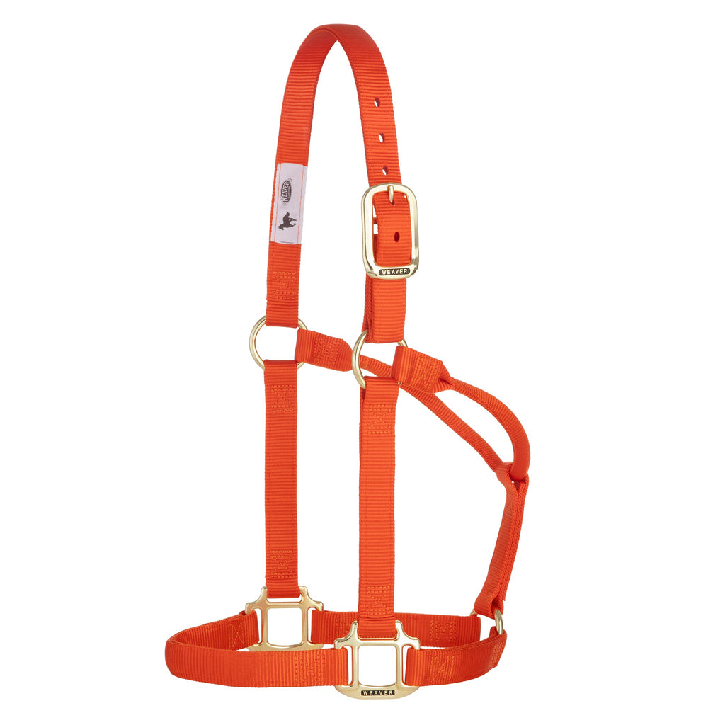 Nylon Horse Halter product image 8