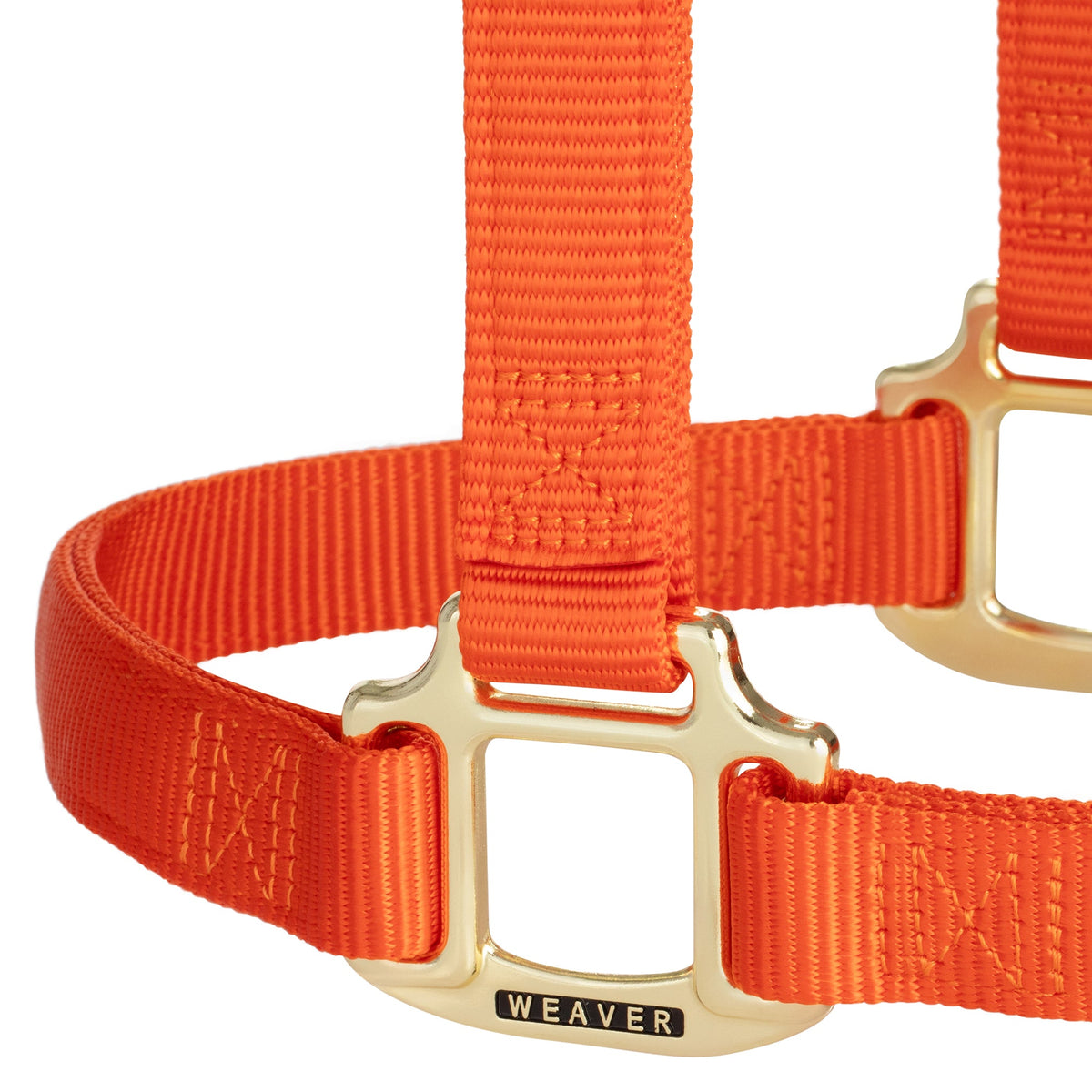 Nylon Horse Halter product image 9