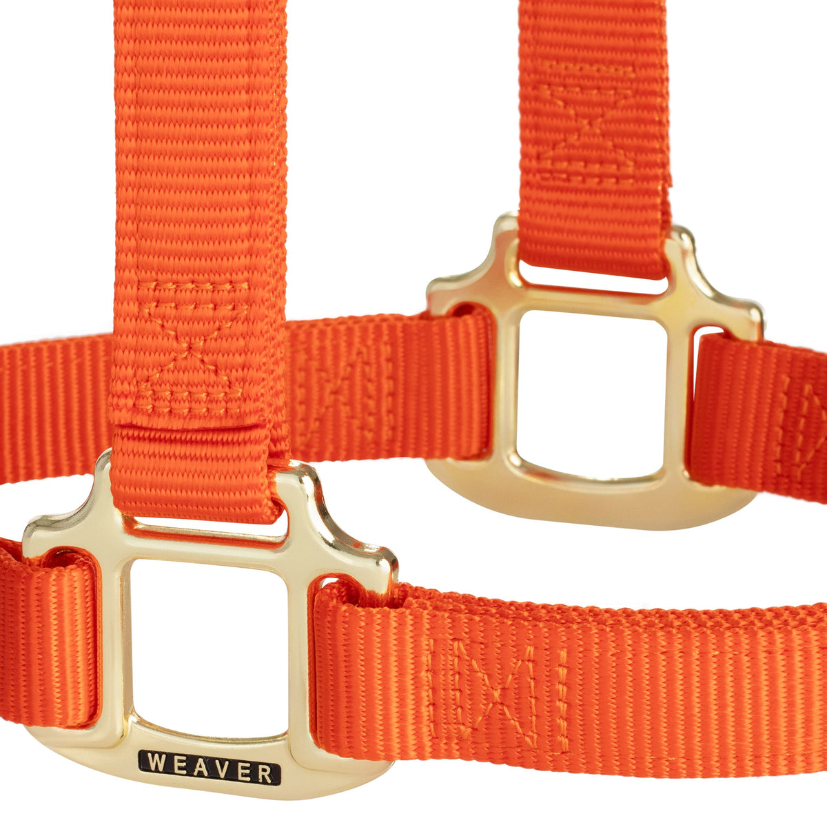 Nylon Horse Halter product image 10