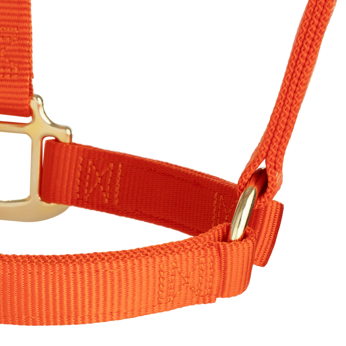 Nylon Horse Halter product image 11