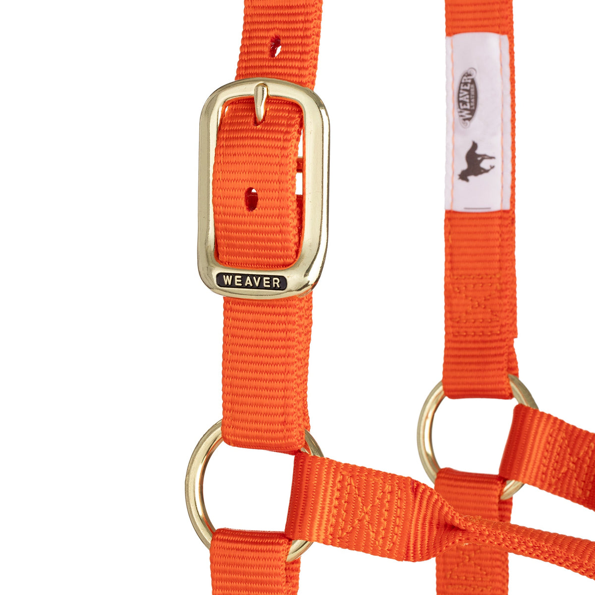 Nylon Horse Halter product image 12