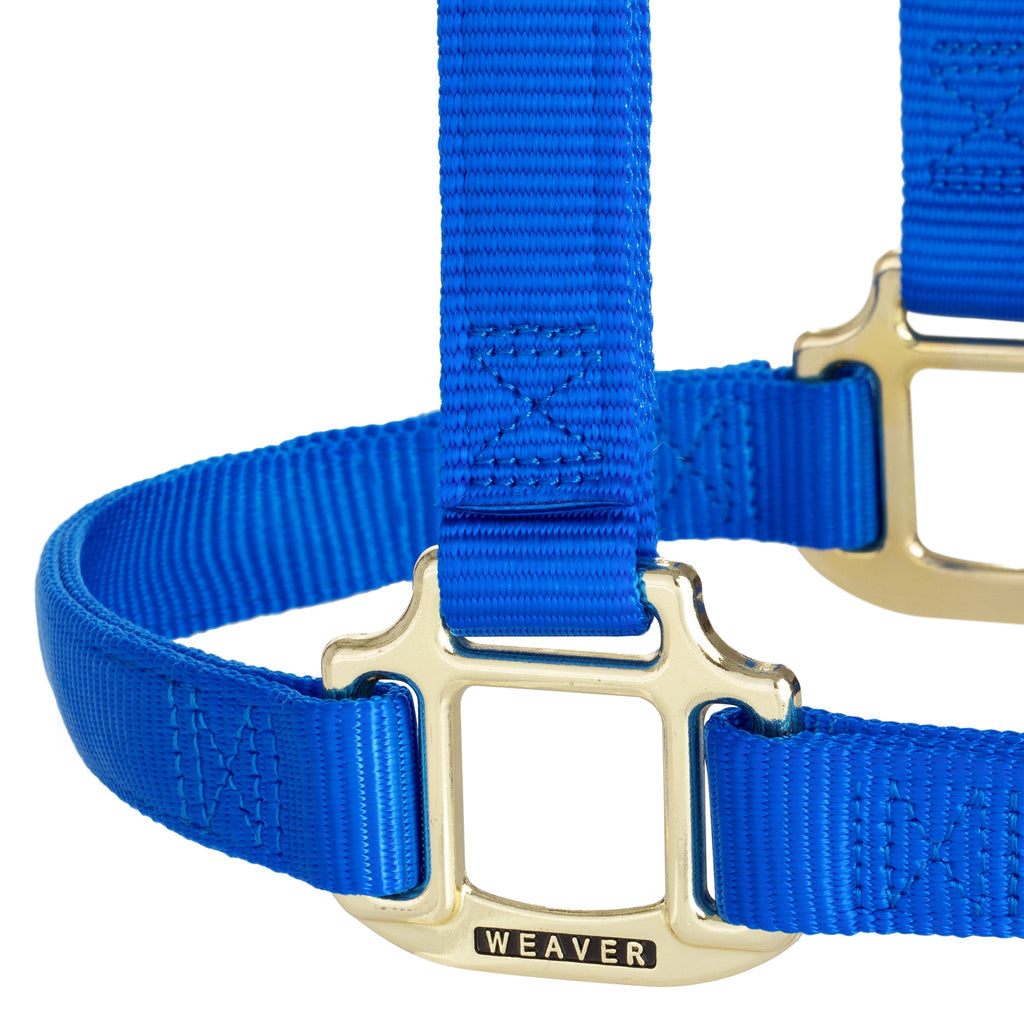 Nylon Horse Halter product image 15