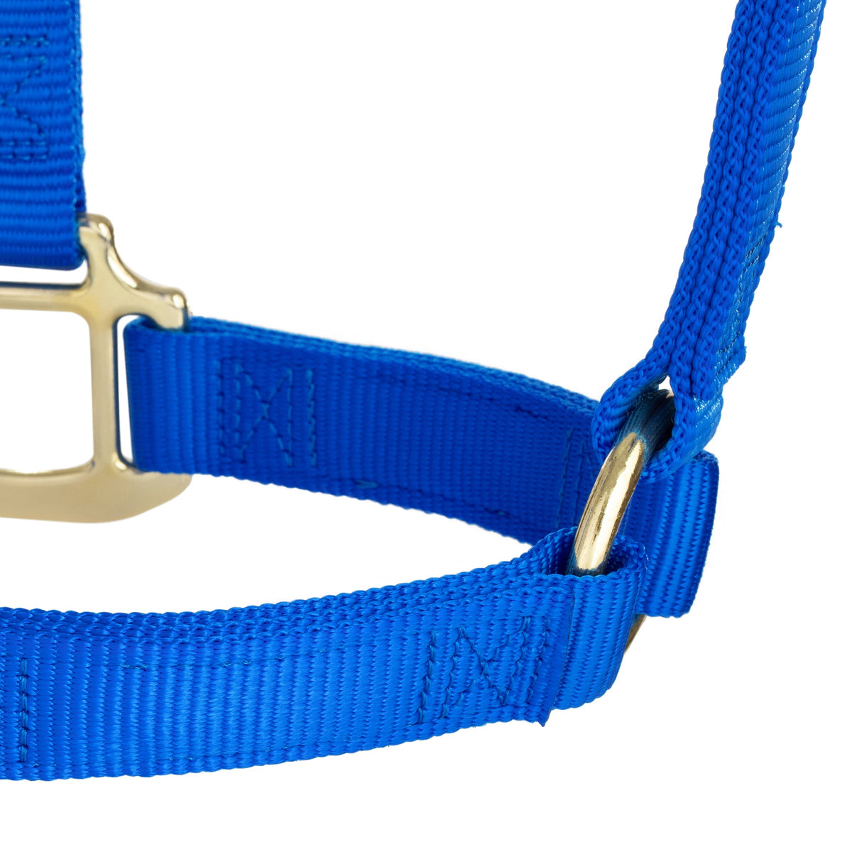 Nylon Horse Halter product image 17