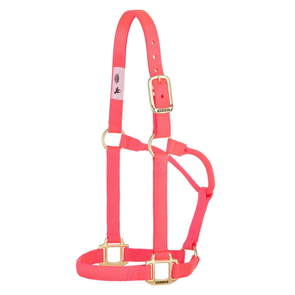 Nylon Horse Halter product image 20