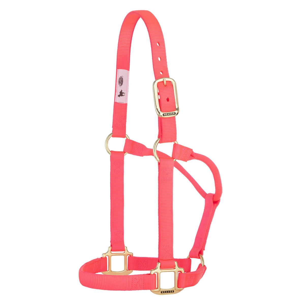 Nylon Horse Halter product image 20