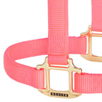 Nylon Horse Halter product image 21