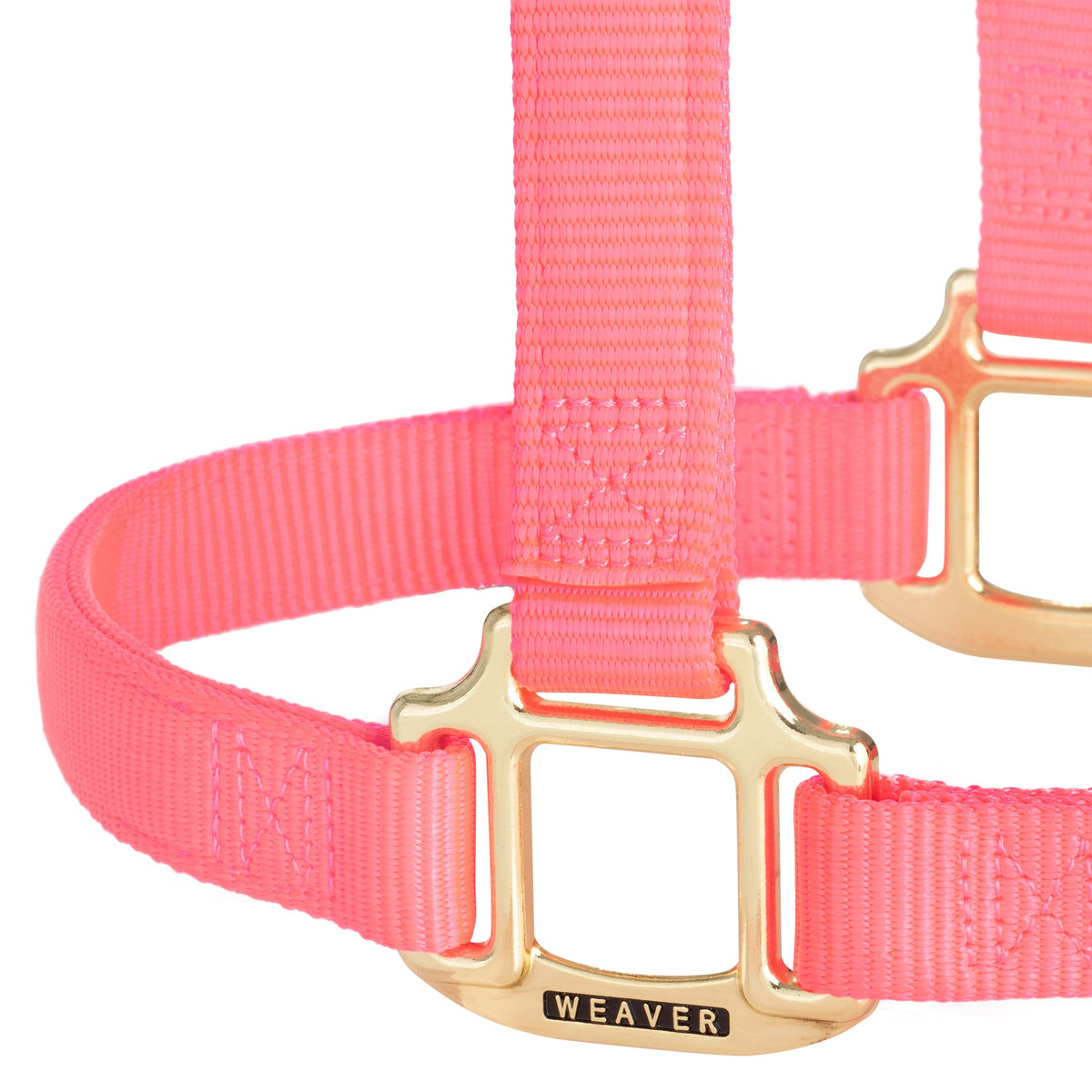Nylon Horse Halter product image 21
