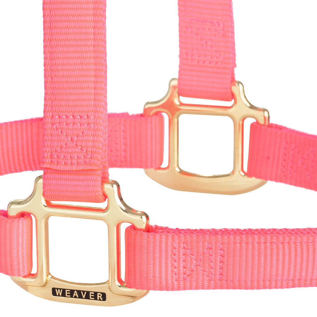 Nylon Horse Halter product image 22