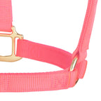 Nylon Horse Halter product image 23
