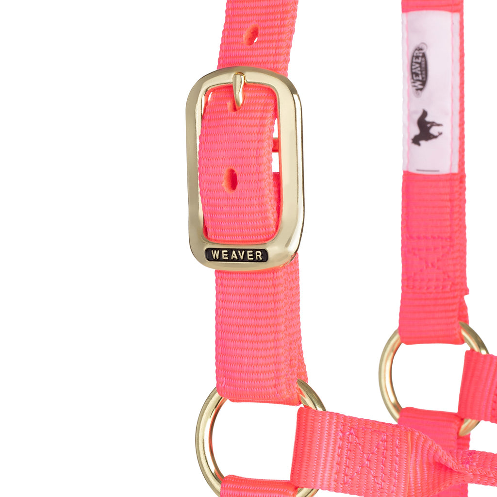 Nylon Horse Halter product image 24