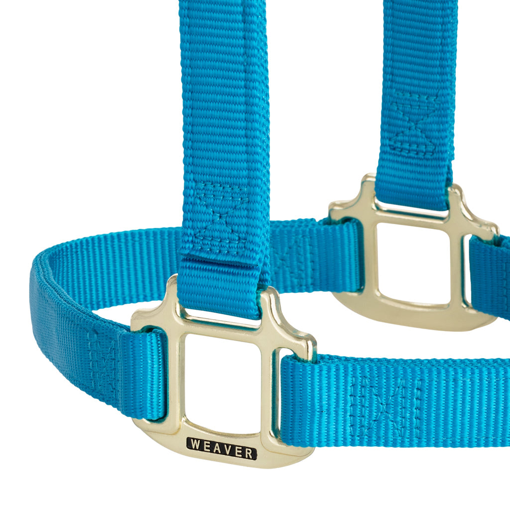 Nylon Horse Halter product image 27