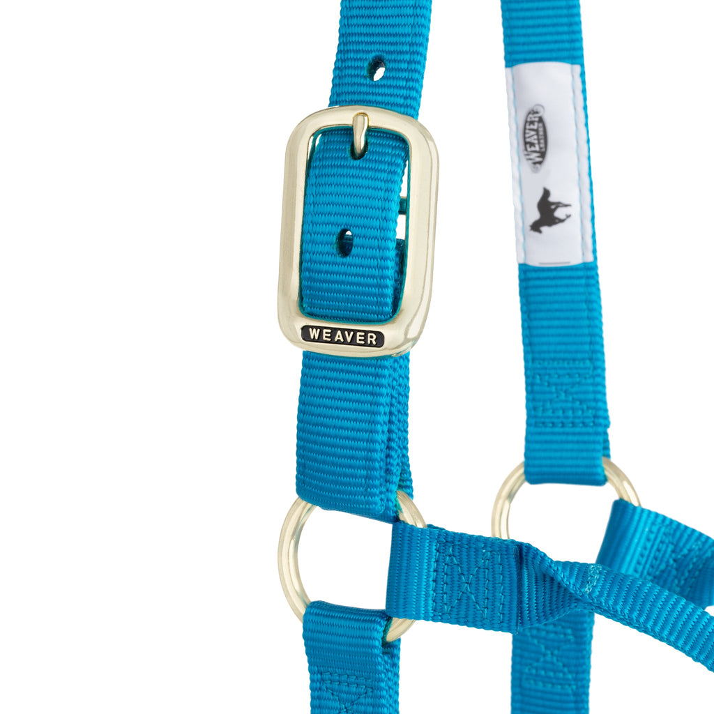 Nylon Horse Halter product image 30