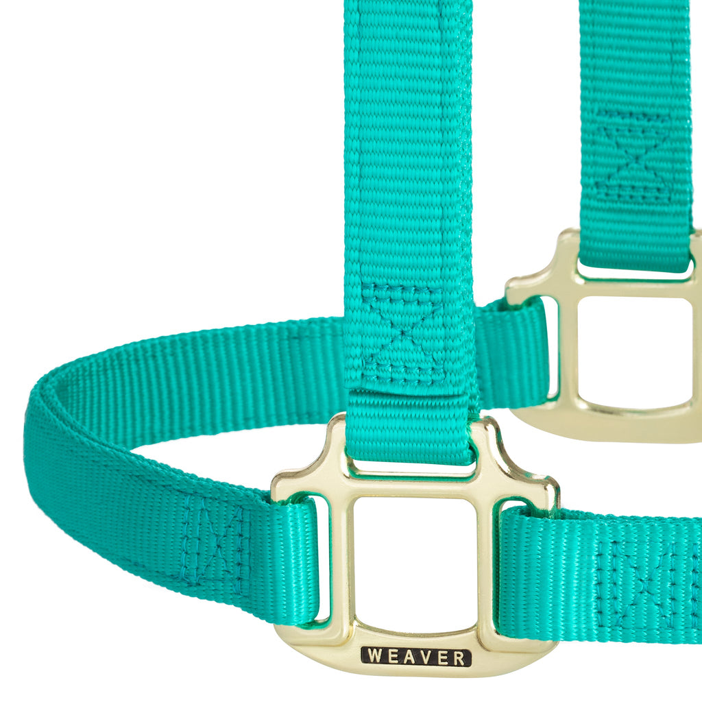 Nylon Horse Halter product image 33