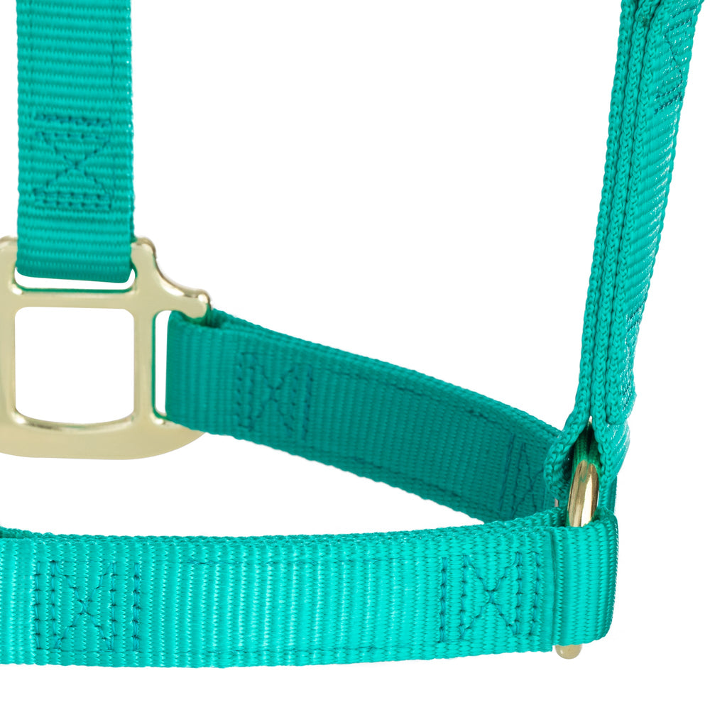 Nylon Horse Halter product image 35